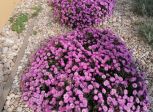 IMG_20201002_141227.jpg